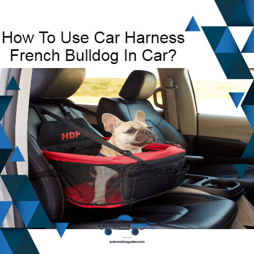How To Use Car Harness French Bulldog In Car