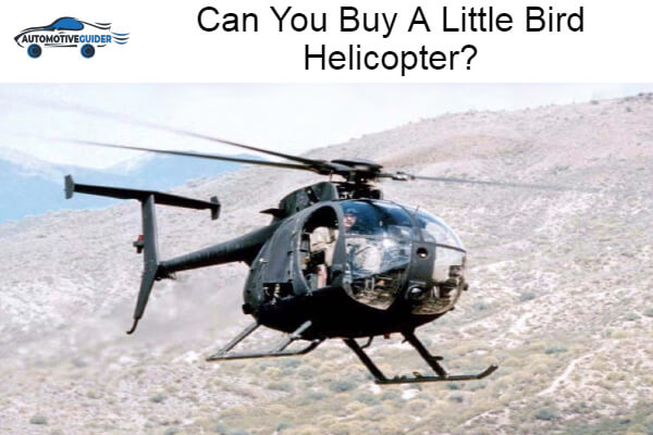 Buy A Little Bird Helicopter